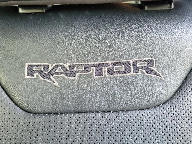 2018 Ford F-150 Raptor photo 16