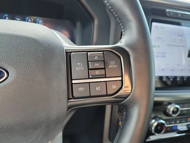 2025 Ford F-150 Platinum photo 25