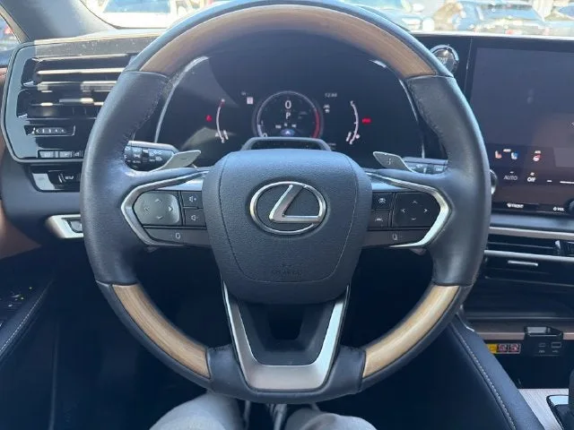2024 Lexus RX RX 350 photo 13