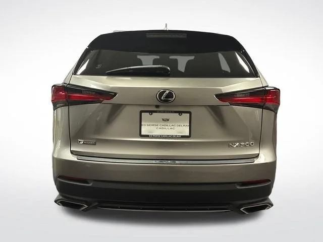 2021 Lexus NX NX 300 F SPORT photo 4