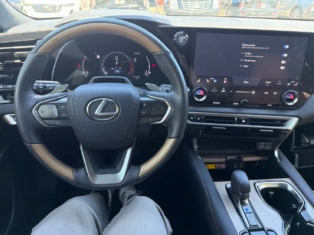 2024 Lexus RX RX 350 photo 12