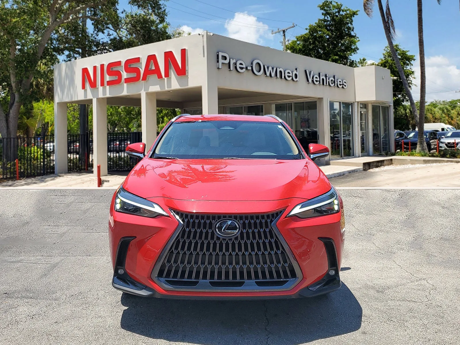 2024 Lexus NX NX 250 photo 2