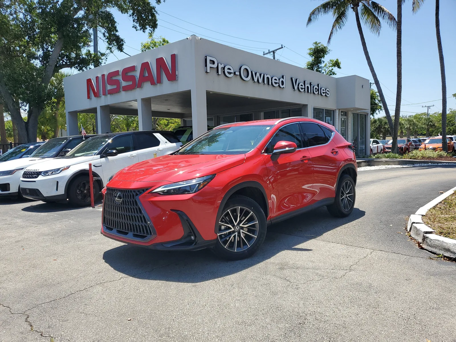 2024 Lexus NX NX 250 photo 30