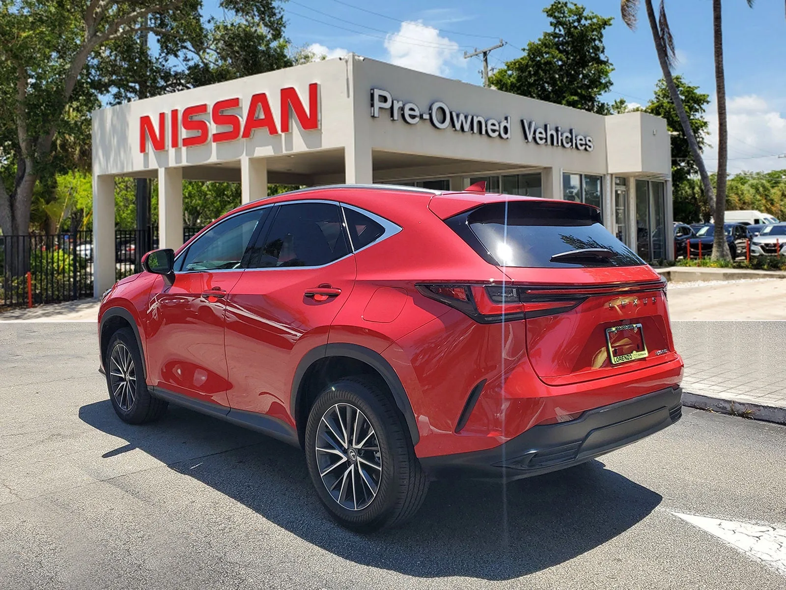 2024 Lexus NX NX 250 photo 6
