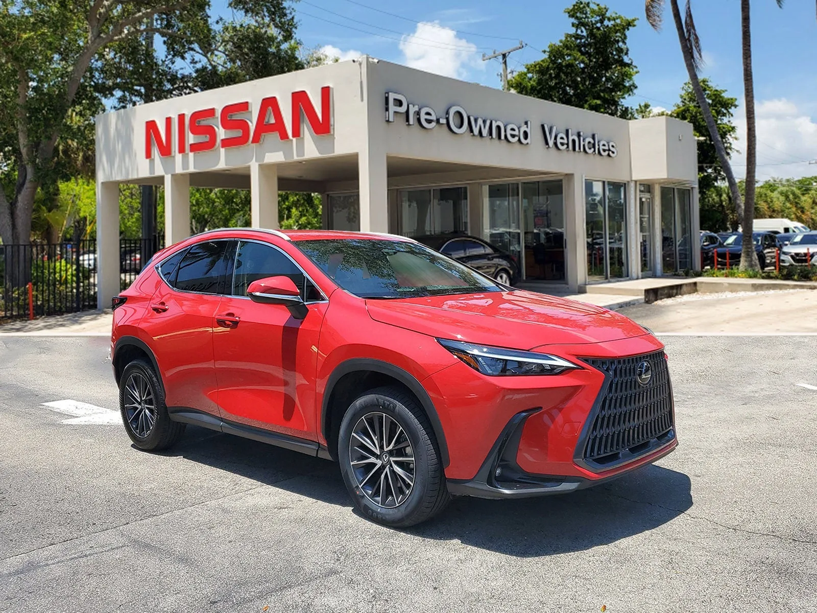 2024 Lexus NX NX 250 photo 3