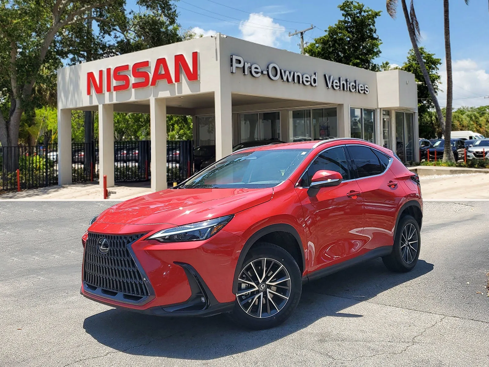 2024 Lexus NX