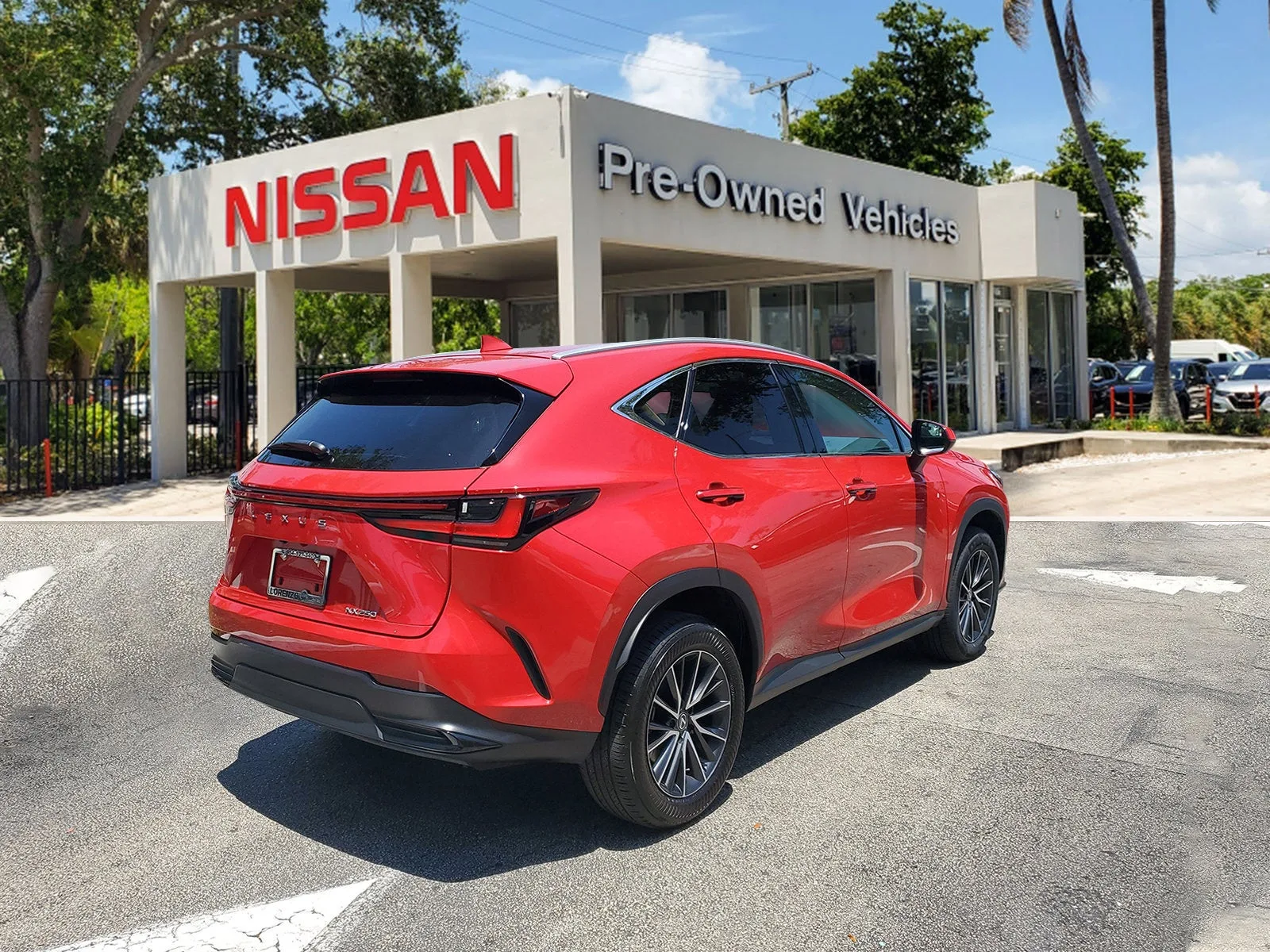 2024 Lexus NX NX 250 photo 4