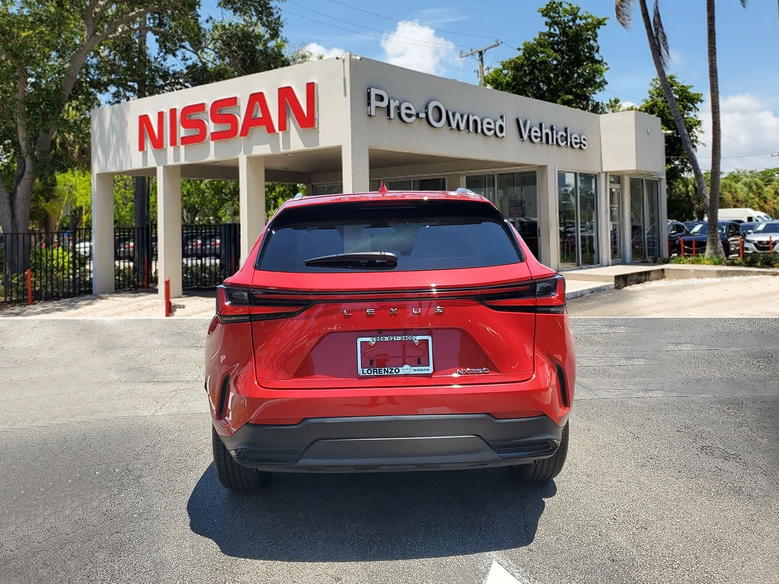 2024 Lexus NX NX 250 photo 5